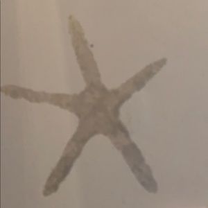 Meet your Posher, Gabby